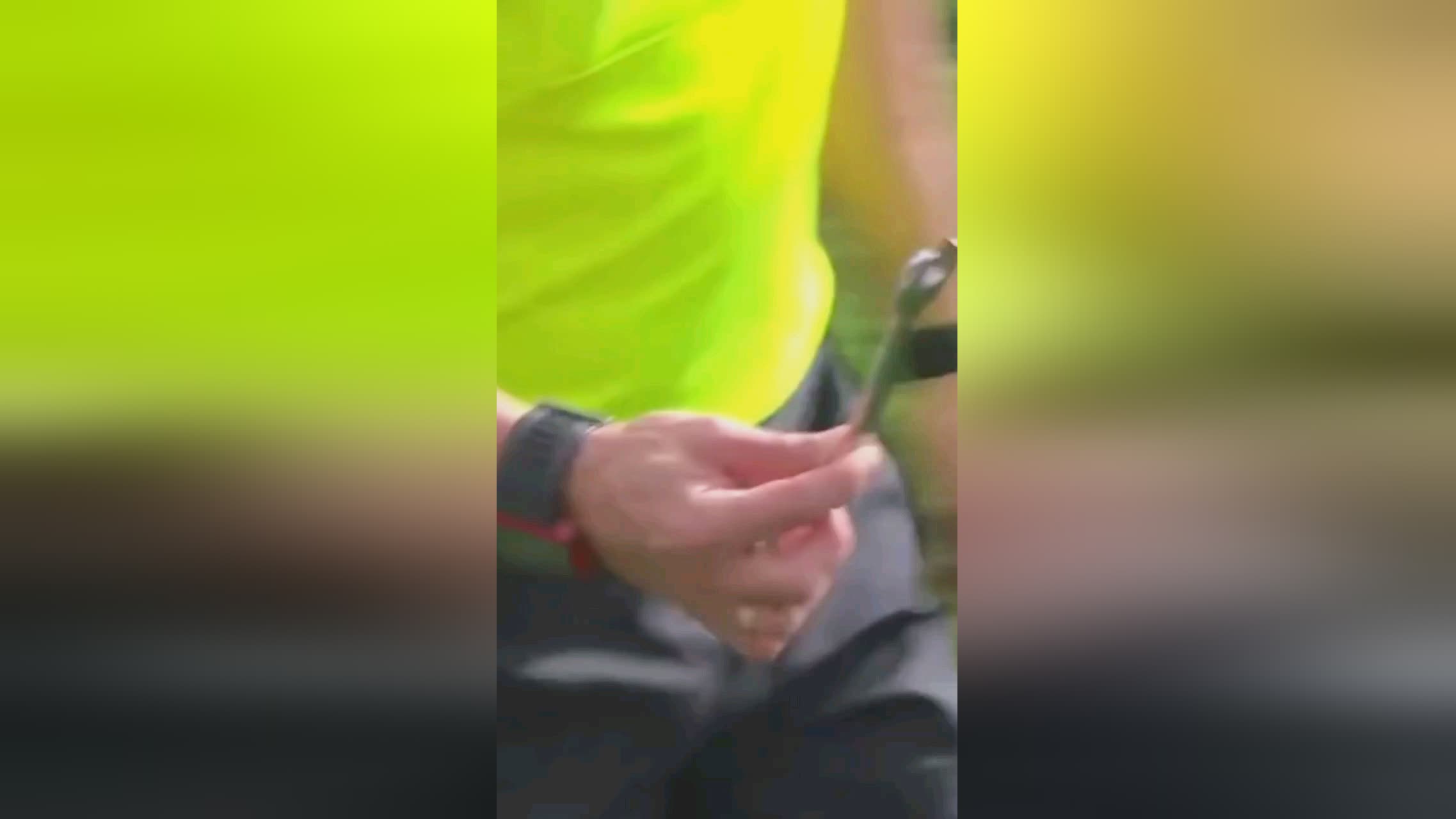 环节这一