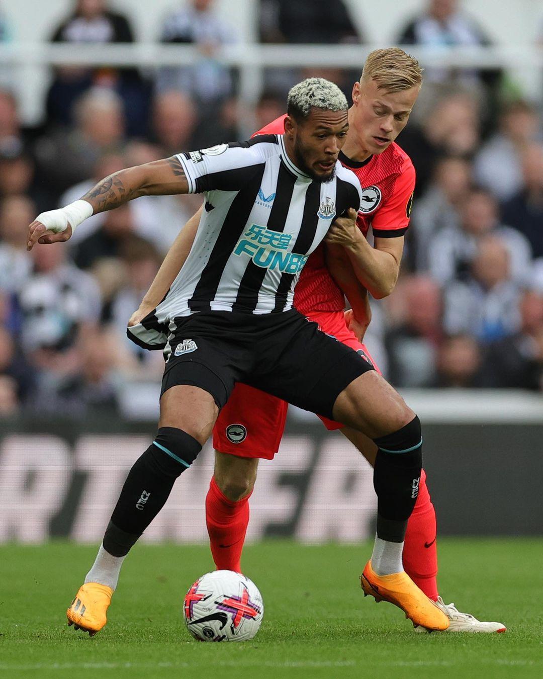 与费利佩的 与费利佩的